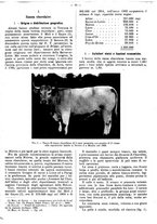 giornale/MIL0255335/1909/v.2 Serie C/00000038